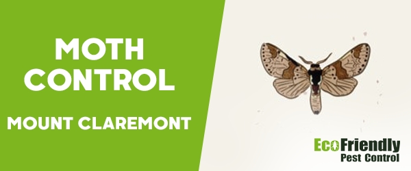 Moth Control Mount Claremont 