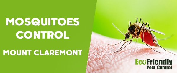 Mosquitoes Control Mount Claremont 