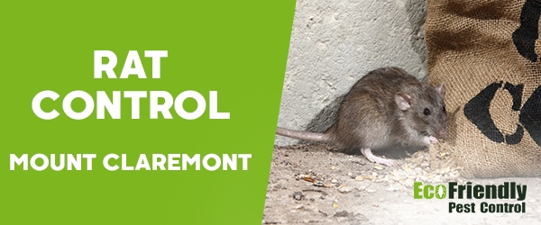 Rat Pest Control Mount Claremont 