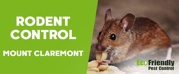 Rodent Treatment Mount Claremont 