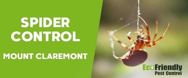 Spider Control Mount Claremont 