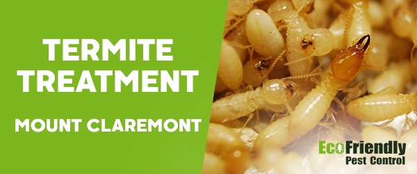 Termite Control Mount Claremont 