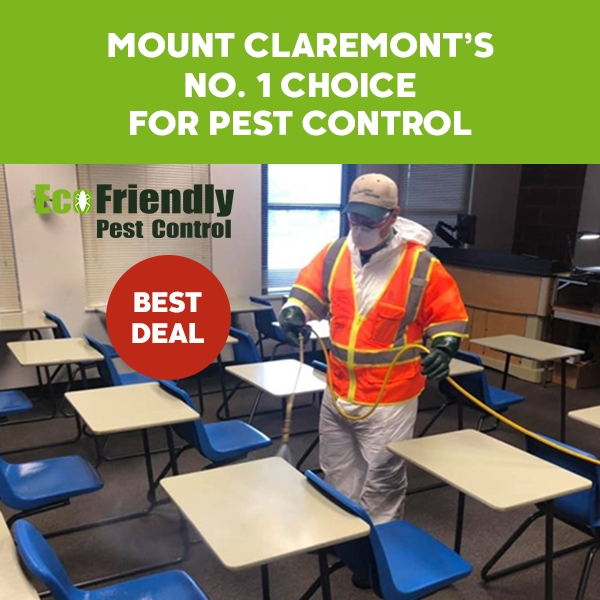 Pest Control Mount Claremont 