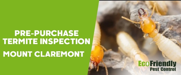 Pre-purchase Termite Inspection Mount Claremont 