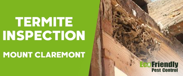 Termite Inspection Mount Claremont 