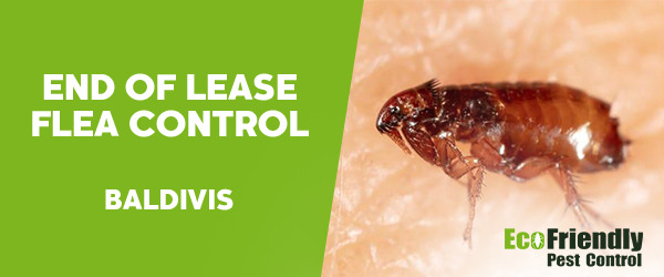 End of Lease Flea Control Baldivis 