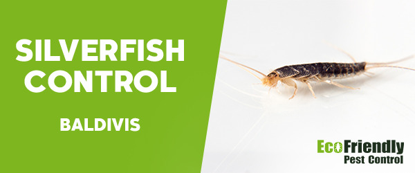 Silverfish Control Baldivis 