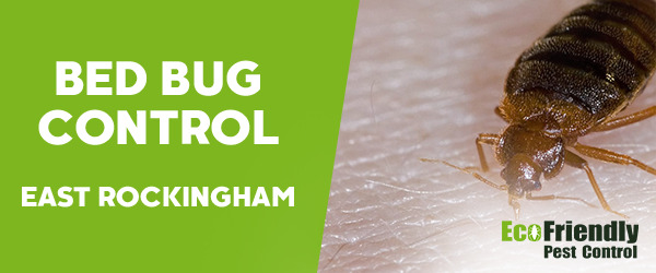 Bed Bug Control East Rockingham 