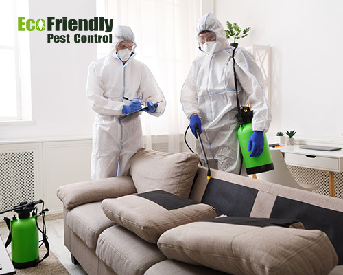 Pest Control Cooloongup