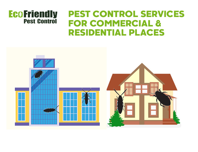 Pest Control Cooloongup