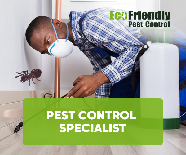 Pest Control Specialist