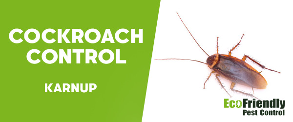 Cockroach Control Karnup  