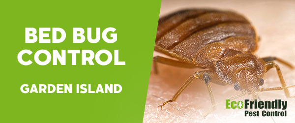 Bed Bug Control Garden Island