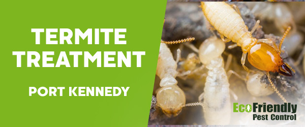 Termite Control  Port Kennedy