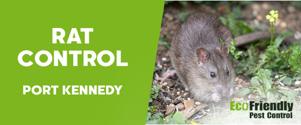 Rat Pest Control  Port Kennedy