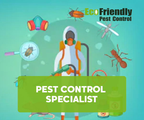 Pest Control Warnbro