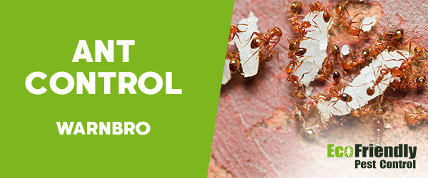 Ant Control Warnbro