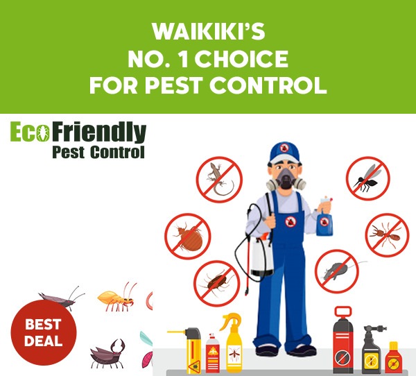 Pest Control Waikiki  