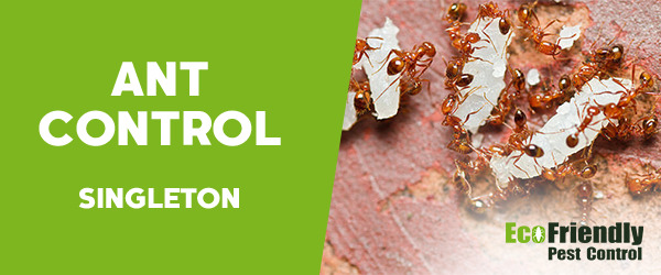 Ant Control Singleton 
