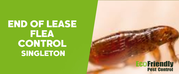 End of Lease Flea Control Singleton 