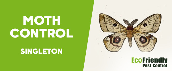 Moth Control Singleton 