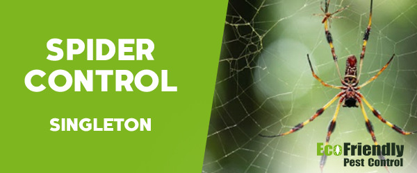 Spider Control Singleton 