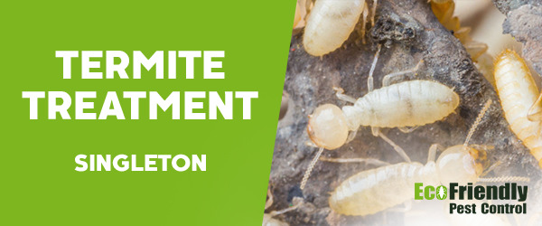 Termite Control Singleton 