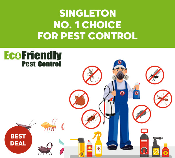 Pest Control Singleton 