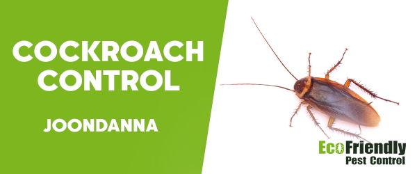 Cockroach Control  Joondanna