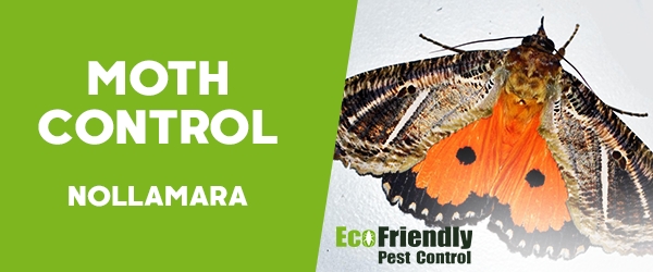 Pest Control Nollamara