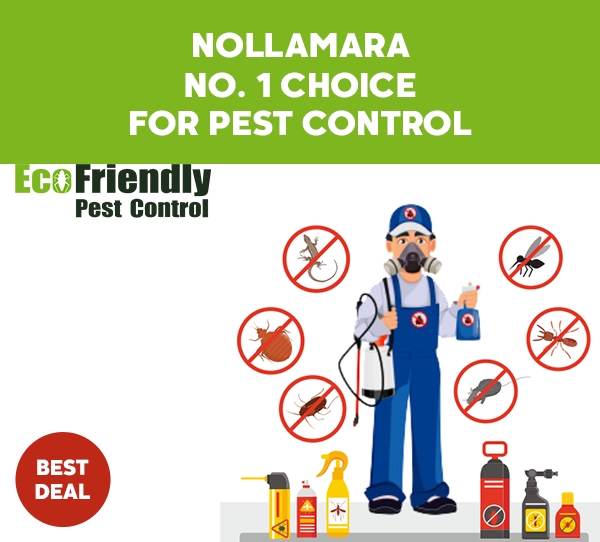 Pest Control Nollamara