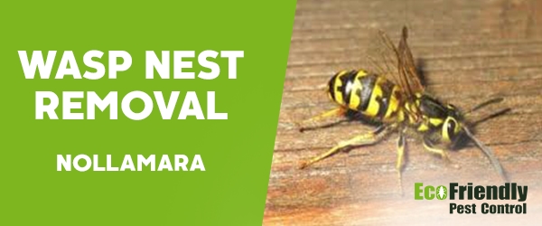 Pest Control Nollamara