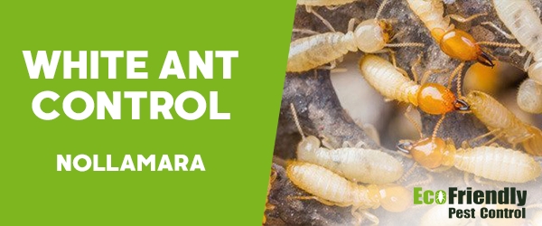 Pest Control Nollamara