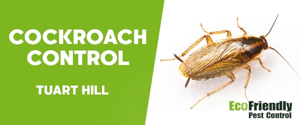 Cockroach Control  Tuart Hill