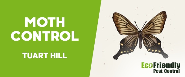 Moth Control  Tuart Hill