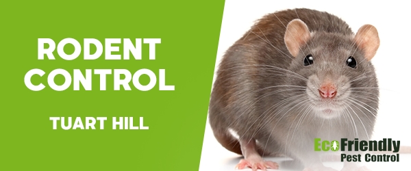 Rodent Treatment  Tuart Hill