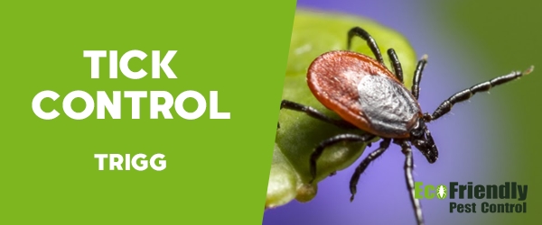 Ticks Control Trigg  