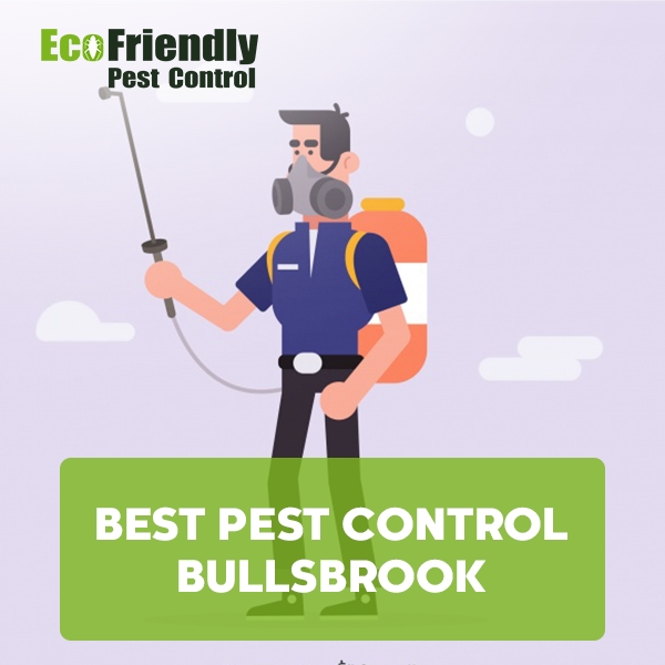 Best Pest Control Henley Brook 