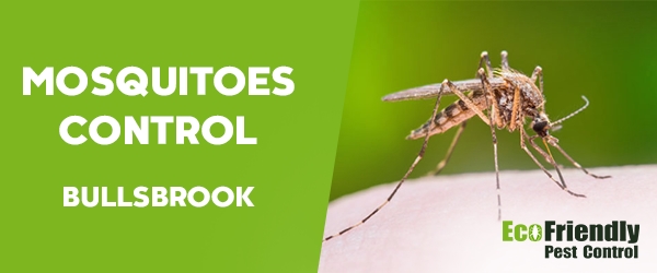 Mosquitoes Control Bullsbrook  