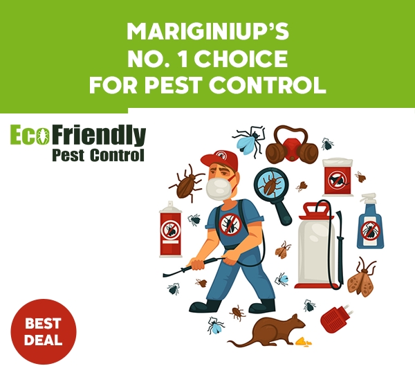 Pest Control Mariginiup