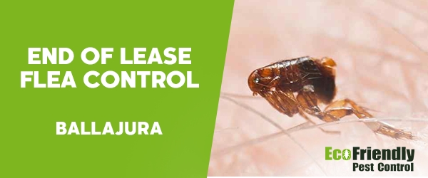 Pest Control Ballajura