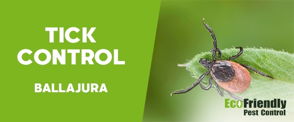 Pest Control Ballajura