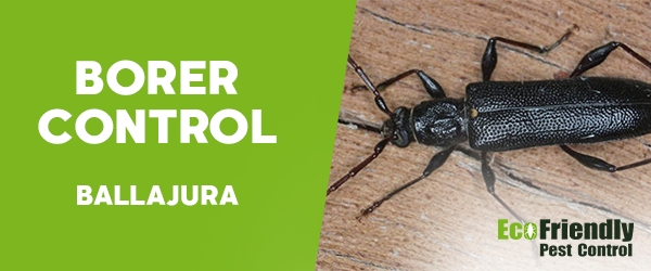 Pest Control Ballajura