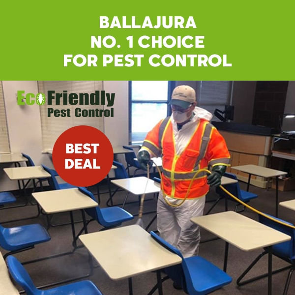 Pest Control Ballajura