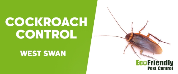 Cockroach Control West Swan   