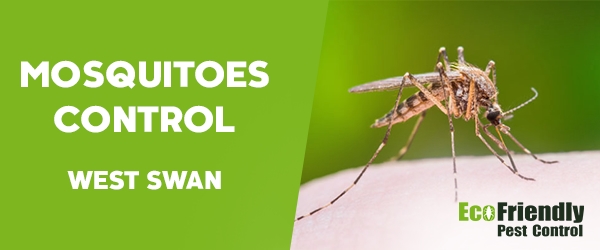 Mosquitoes Control West Swan  