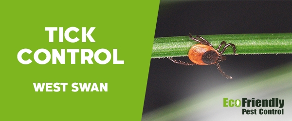 Ticks Control West Swan  