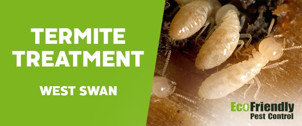 Termite Control West Swan  