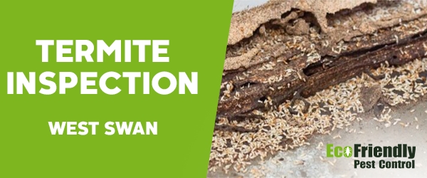 Termite Inspection West Swan  