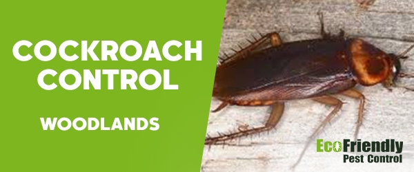 Cockroach Control Woodlands   